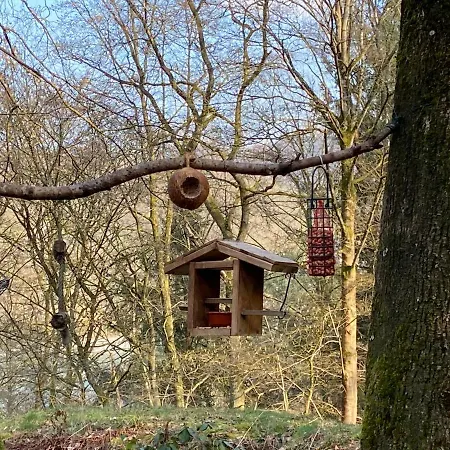 Domaine Du Bonsoy--azur Blaimont