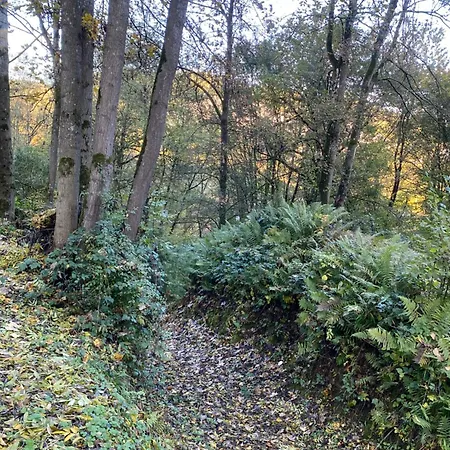 Domaine Du Bonsoy--azur * Blaimont